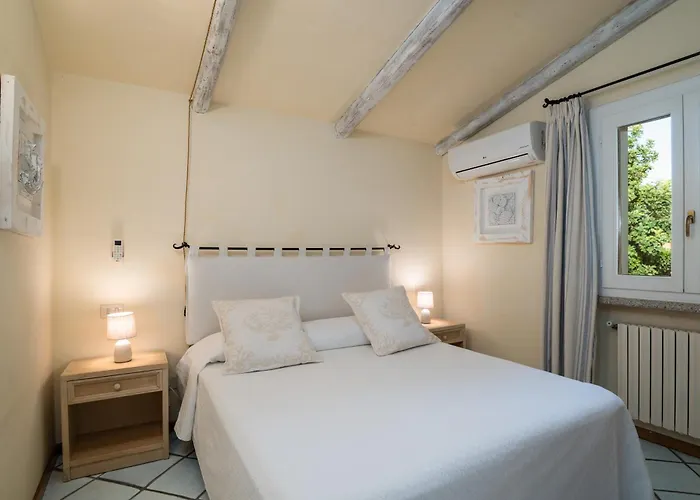 Mimosa Гольфо-Аранчи